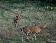 04-IMG_6702-20.JPG
