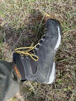 IMG_4496.jpeg IMG_4496.jpeg