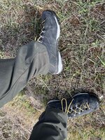 IMG_4495.jpeg IMG_4495.jpeg