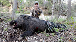 Troply pig side pic no arrow low.jpg