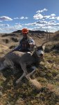 Buck1.jpg Buck1.jpg