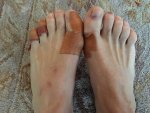 IMG_2631.jpg