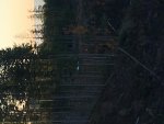 IMG_2624.jpg