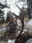 Seth Bull - 2017.jpg