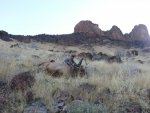 IMG_20171027_074105.jpg