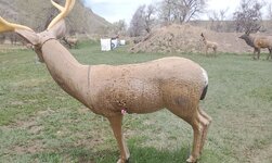 20220506_122141.jpg