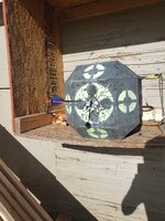 20220507_075946.jpg