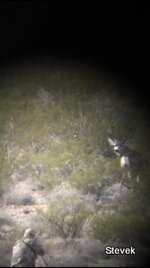 1-Hunting shot.JPG