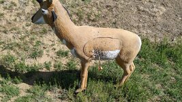 PXL_20220508_152419638.jpg PXL_20220508_152419638.jpg