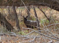 IMG_0764at.jpg