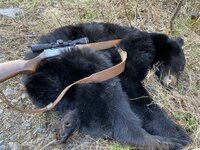 spring bear 2022.jpg