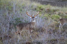 09-IMG_46021.JPG