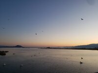 20220505_064640.jpg