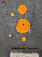 20220512_173524.jpg