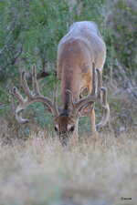 02-IMG_00931.JPG