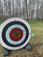 IMG_2378.JPG