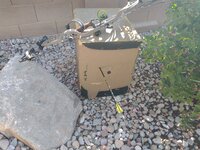 IMG_20220515_173307161.jpg