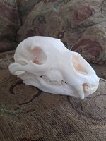 Resized_20210215_162651.jpg