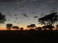 9AA385FC-4B6E-465D-9552-87FD0ECFD1EB.jpeg