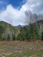 thumbnail (1).jpg