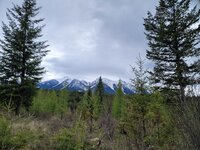 thumbnail (2).jpg