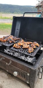 thumbnail (17).jpg