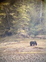 35721A45-1F20-490A-9E56-780D7D1E97CB.jpeg 35721A45-1F20-490A-9E56-780D7D1E97CB.jpeg