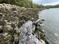 7C633851-5C2E-480B-B069-8243D5DBD3AB.jpeg 7C633851-5C2E-480B-B069-8243D5DBD3AB.jpeg