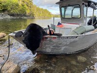 A3D6A453-2B02-4F88-A38D-2F8B7ECFB224.jpeg A3D6A453-2B02-4F88-A38D-2F8B7ECFB224.jpeg