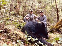 500729B8-D740-405B-BBA1-A14B7AD3D3B2.jpeg 500729B8-D740-405B-BBA1-A14B7AD3D3B2.jpeg