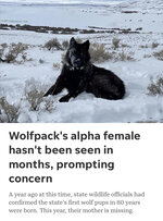 9B5AE585-990F-4DD5-9C07-2AA1C6BE31B8.jpeg