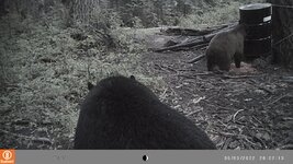 0FAE4530-9FBC-4B30-BDBF-2D41BA37837B.jpeg