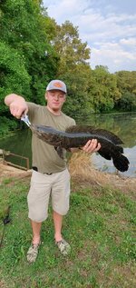 snakeheadpic.jpg