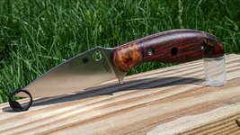 PXL_20220607_161648337.jpg PXL_20220607_161648337.jpg