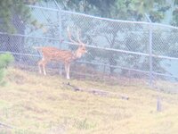 IMG_6397.jpg