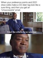 07AC15D0-8E1B-4AE2-BA4D-8652E720DDE1.jpeg