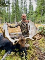 moose.jpg