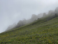 IMG_3347.jpeg