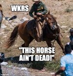 WKRs horse.jpeg