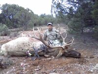 elk 2015.jpg