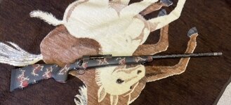 A3F06608-3C90-41C0-8658-BA364A459FFE.jpeg