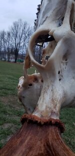 CE3926D7-2848-4109-AF62-9770962FE07F.jpeg
