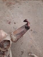 20201022_140259.jpg