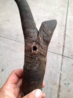 20201022_151707.jpg