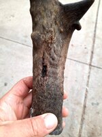 20201022_151724.jpg