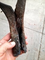 20201022_151714.jpg