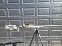 20220601_092938.jpg
