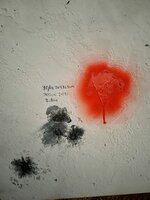 CD8A77BE-46C6-46B9-BE09-9E93FEB8CBCD.jpeg