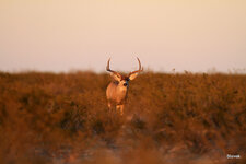 02-IMG_431020.JPG