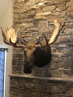 Moose Mount.jpg